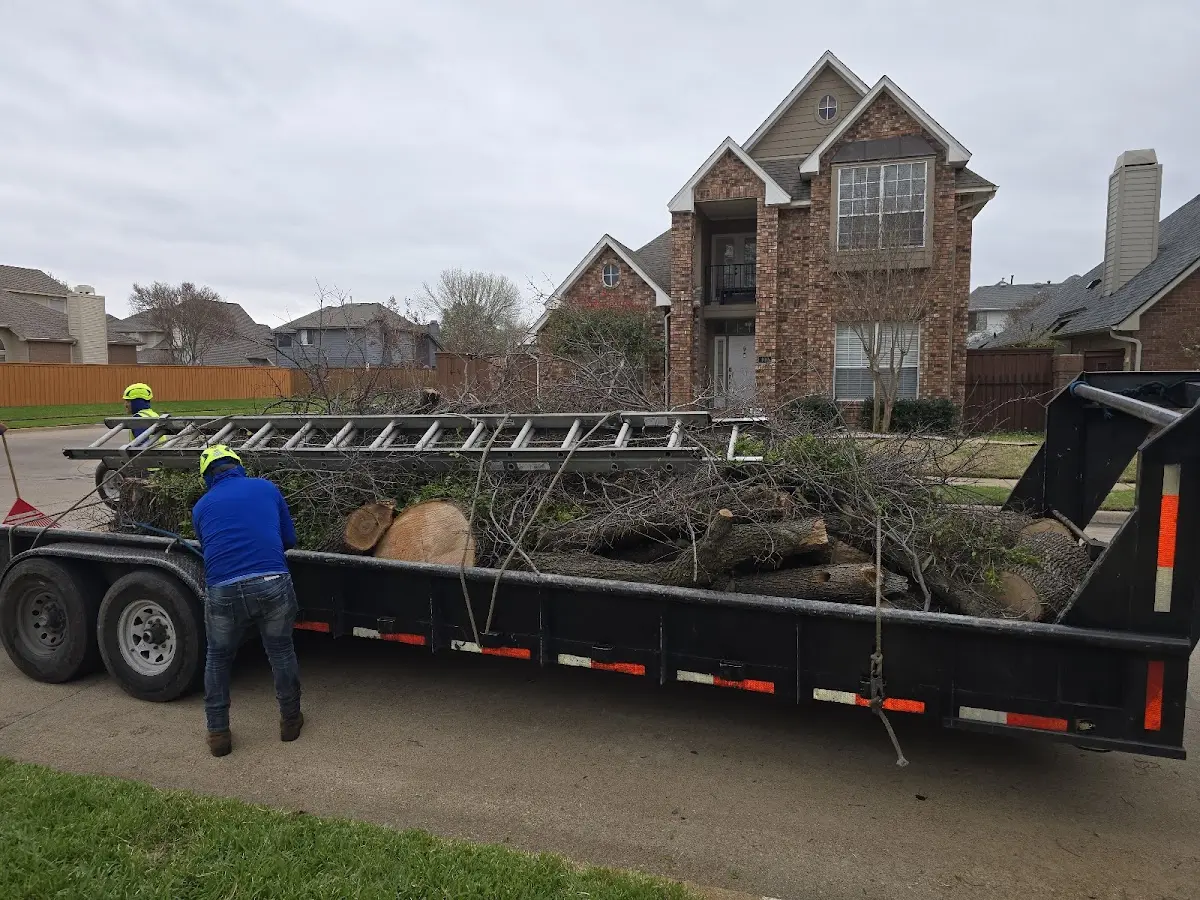 Expert Crown Reduction with proper safety equipment in Piney Woods